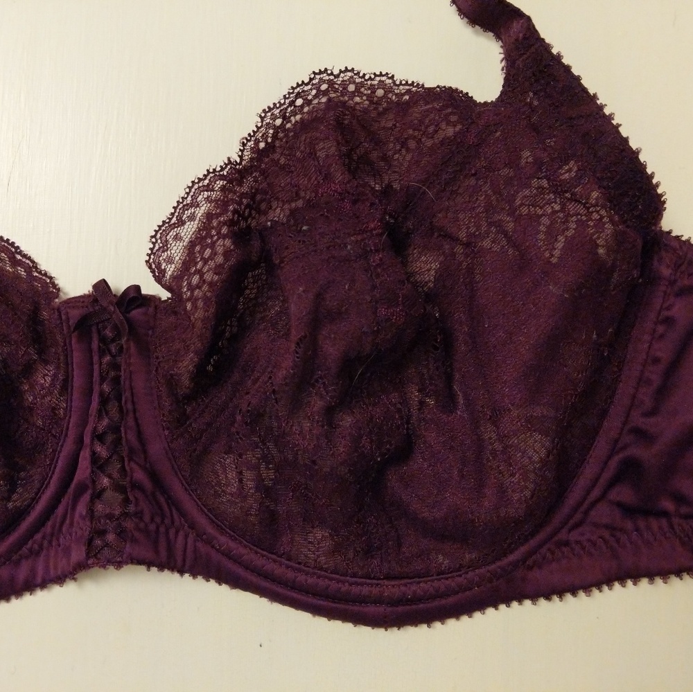 Parfait Destiny Bra 30FF
